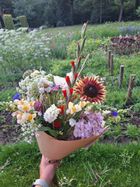 Fieflora