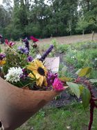 Foto van boeket bloemen van Fieflora met op de achtergrond de pluktuin in Beringen